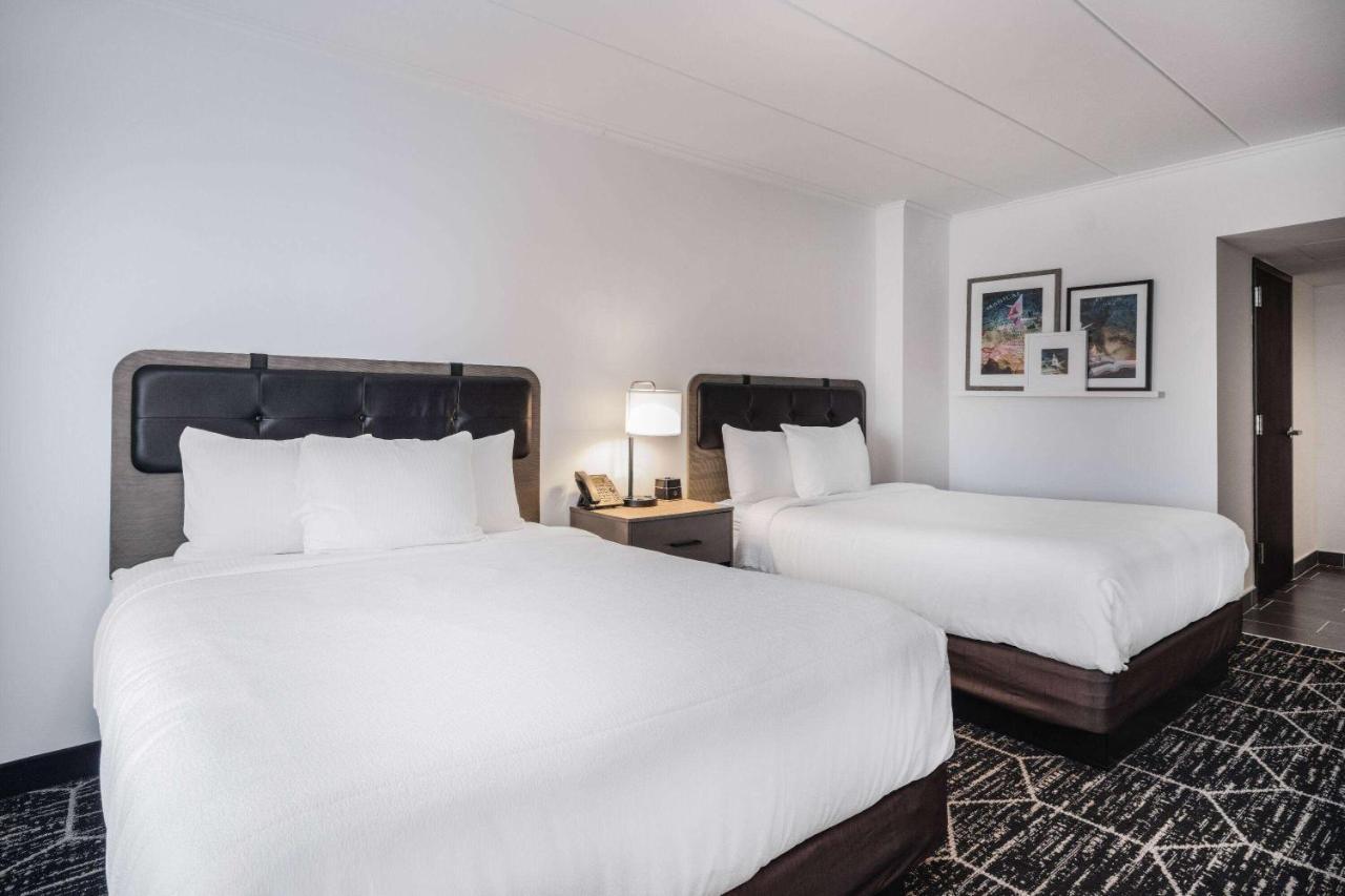 La Quinta By Wyndham Chicago O'Hare Airport Hotel Rosemont Exterior foto